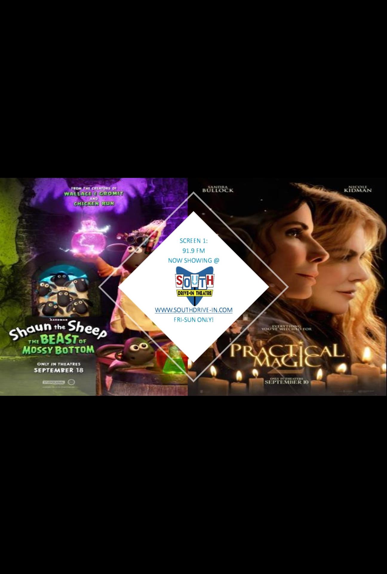 SHAUN THE SHEEP 3 & PRACTICAL MAGIC 2-ST1